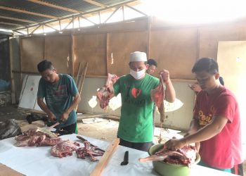 Idul Adha 1441 H, BEM IAI Kotamobagu Sembelih Hewan Qurban