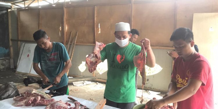 Idul Adha 1441 H, BEM IAI Kotamobagu Sembelih Hewan Qurban